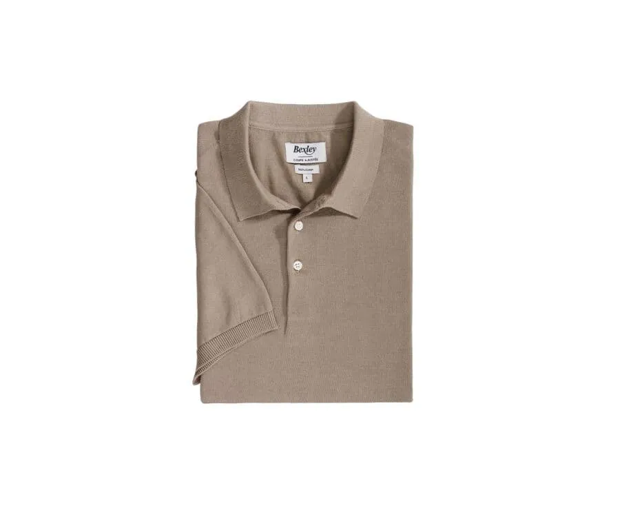 Polo homme Taupe Braiden