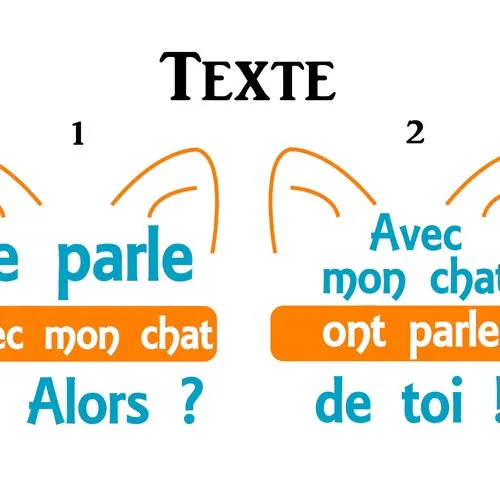 T-shirt personnalisé chat, cadeau femme humoristique chat ! idée cadeau pour les fans de chat !